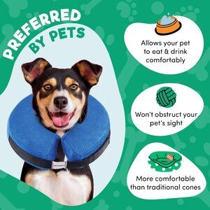Blue Inflatable Dog Cone Collar Alternative,